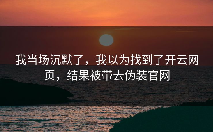 我当场沉默了,我以为找到了开云网页,结果被带去伪装官网