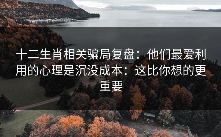 十二生肖相关骗局复盘:他们最爱利用的心理是沉没成本:这比你想的更重要