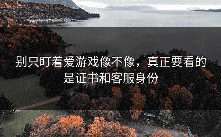 别只盯着爱游戏像不像,真正要看的是证书和客服身份